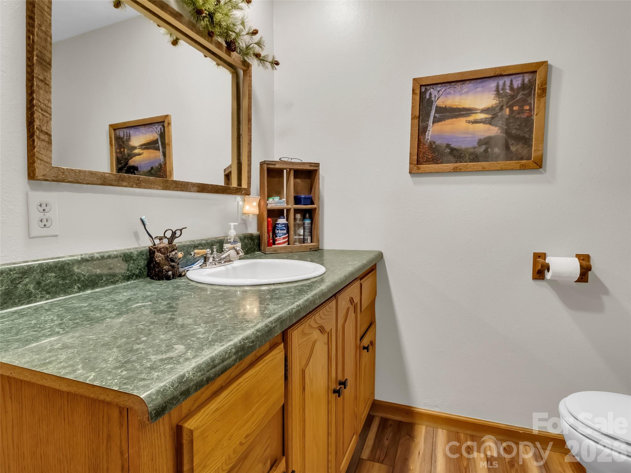 555 Acres View Drive — Waynesville