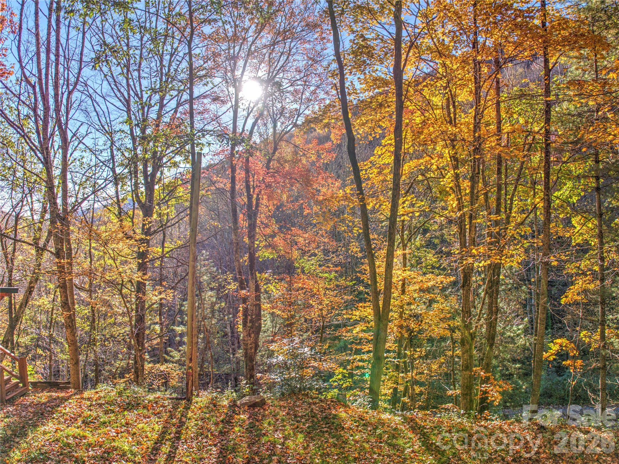 430 Long Branch Road — Maggie Valley