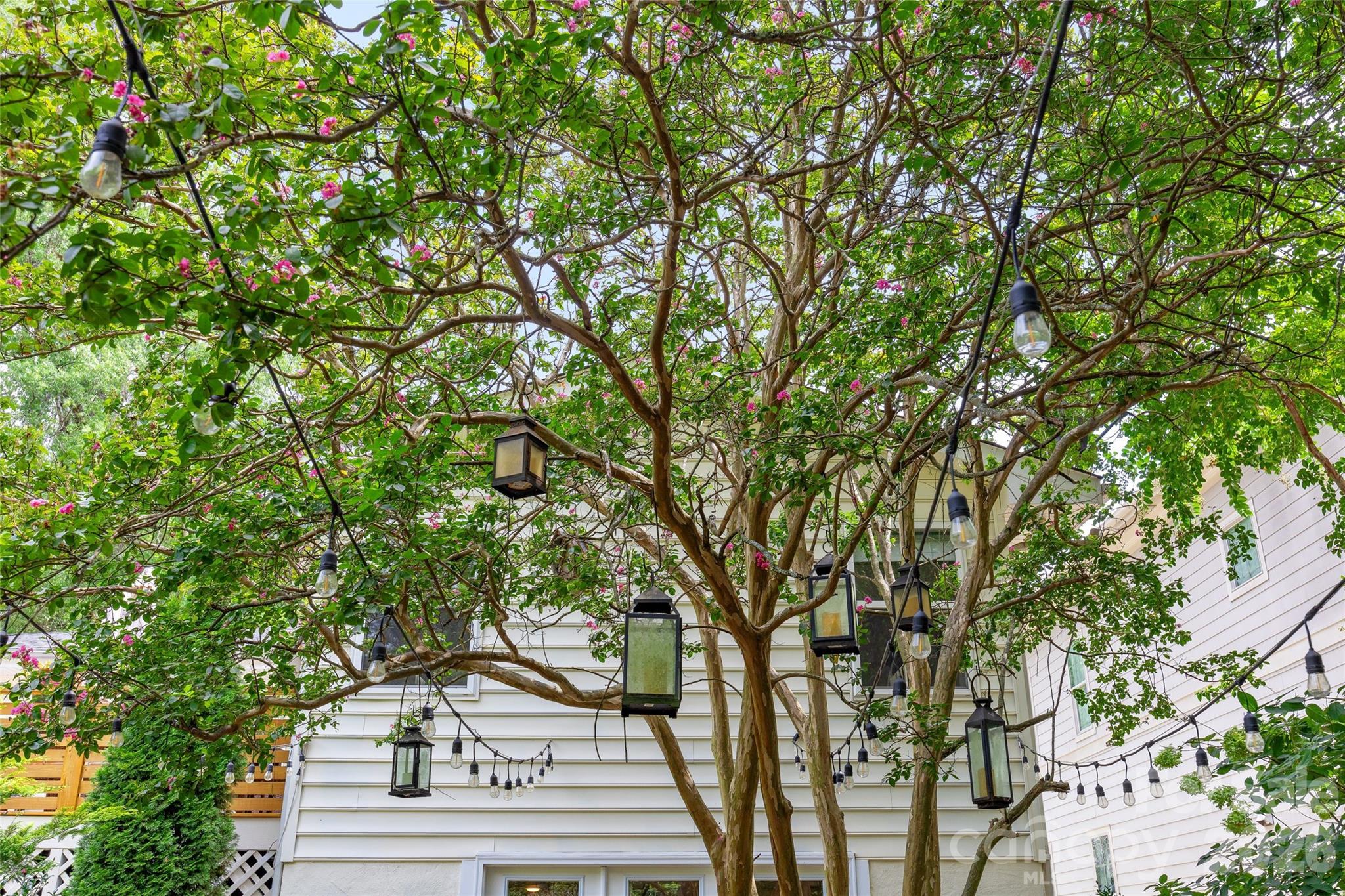 2215 Chatham Avenue — Charlotte
