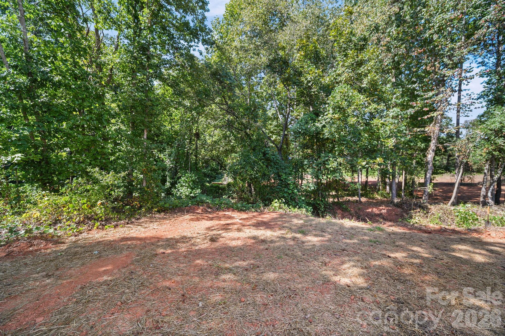 1074 Lyndsey Brook Court — Lincolnton