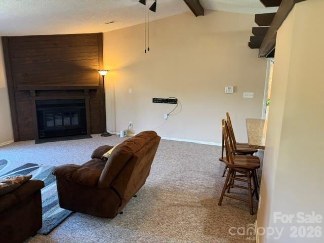 204 Scottlynn Drive — Asheville