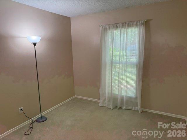 204 Scottlynn Drive — Asheville