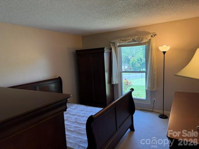 204 Scottlynn Drive — Asheville
