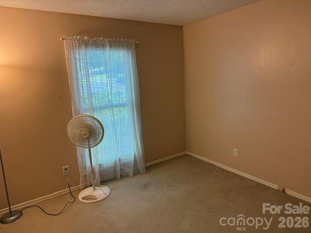 204 Scottlynn Drive — Asheville