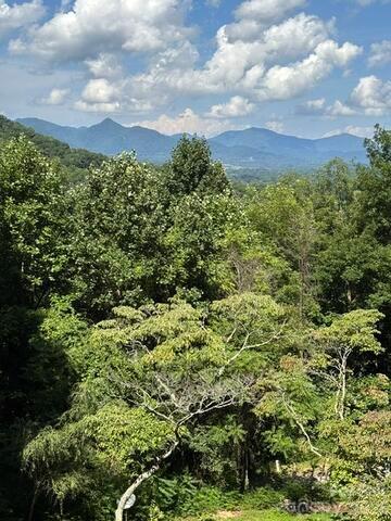70 Calhoun Ridge Road — Waynesville