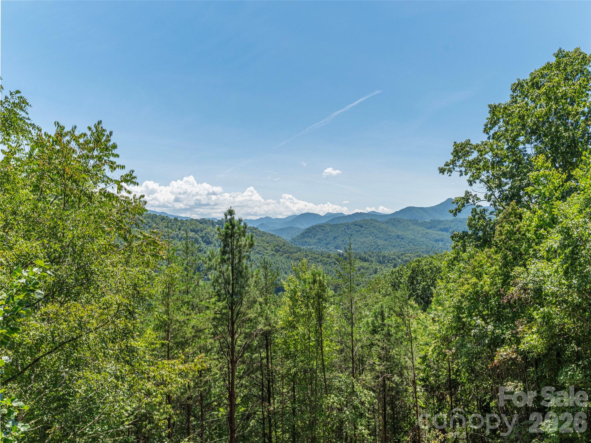 499 Match Point — Sylva