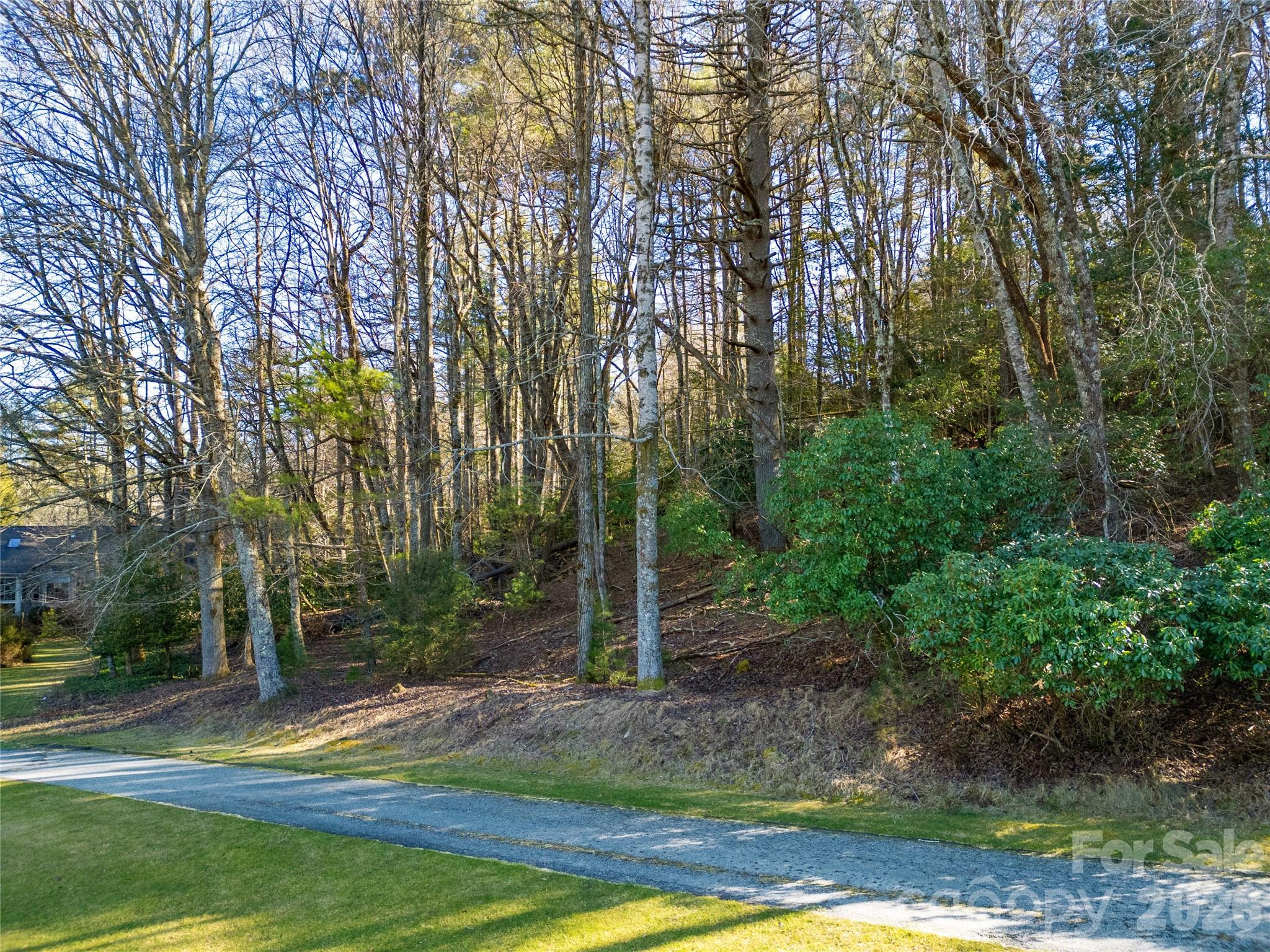 4583 Connestee Trail — Brevard