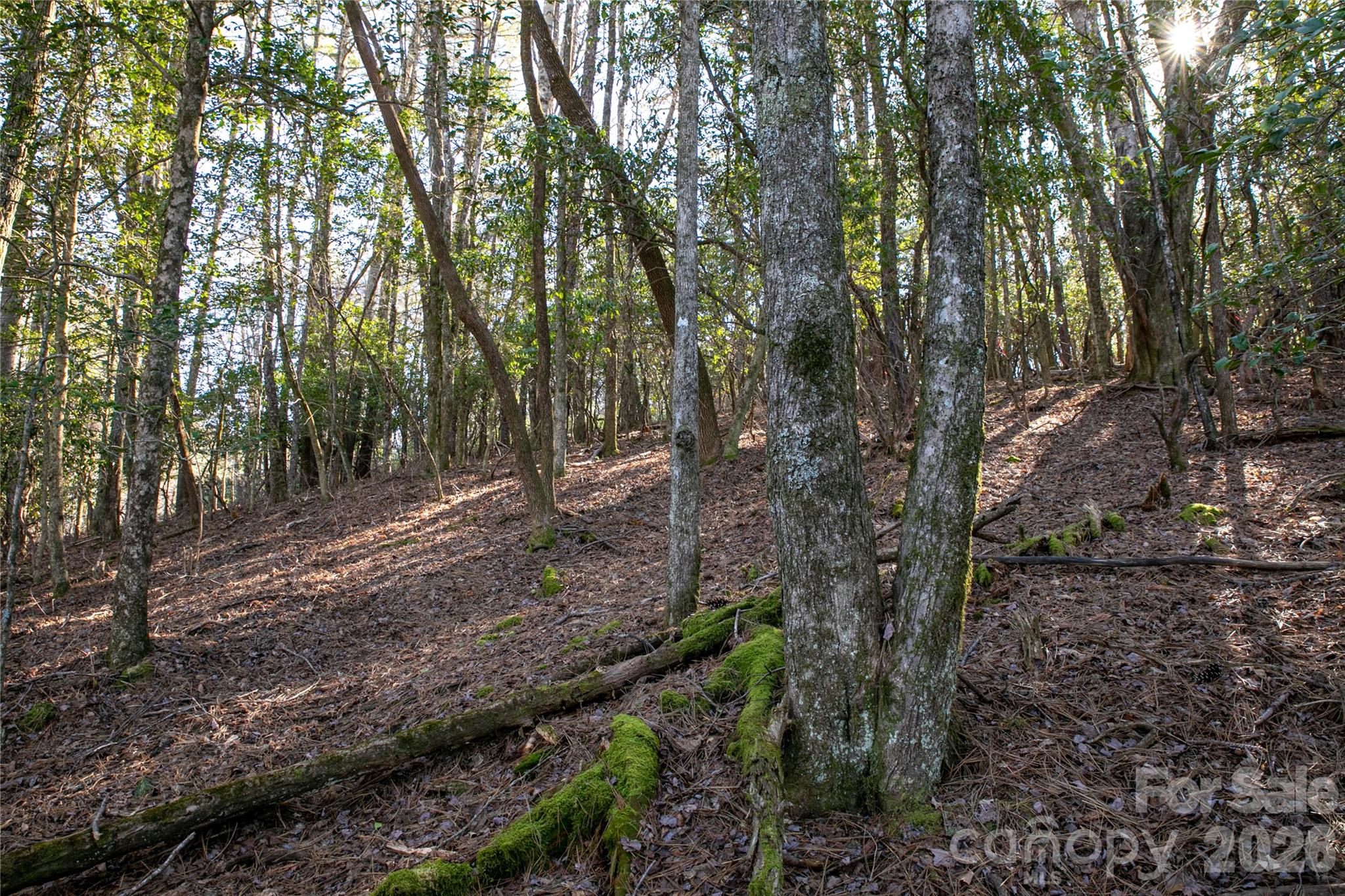 4583 Connestee Trail — Brevard