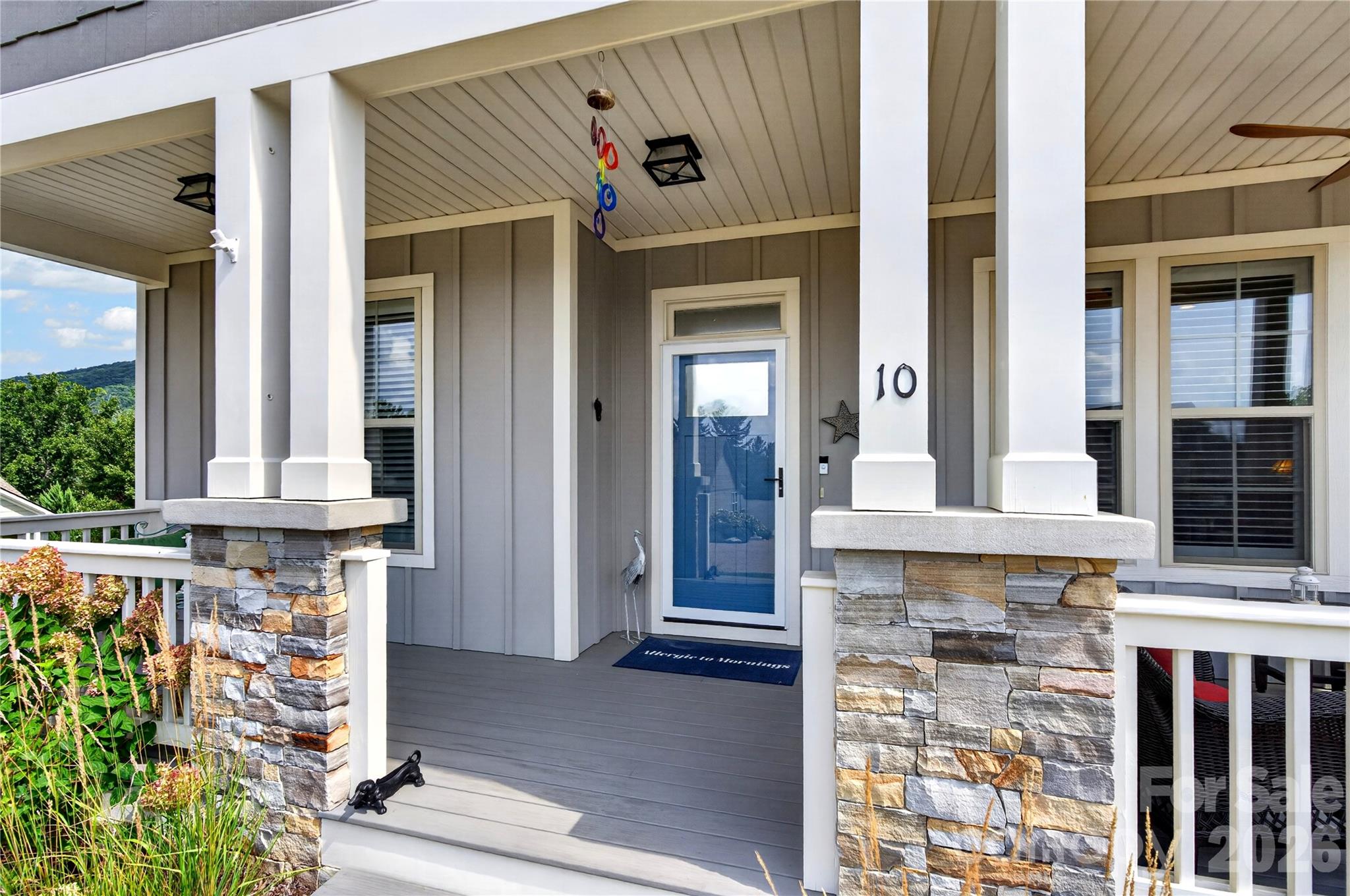 10 Buckhorn Gap Road — Biltmore Lake