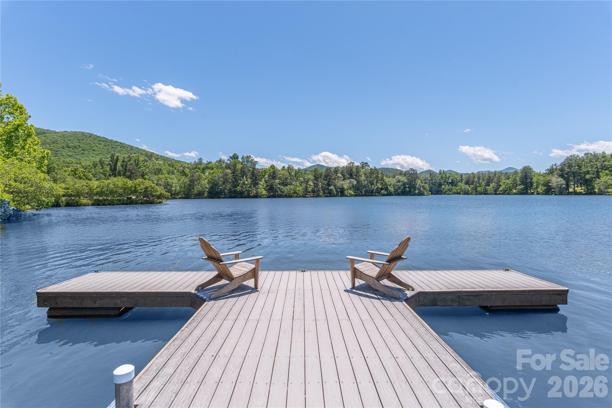 10 Buckhorn Gap Road — Biltmore Lake