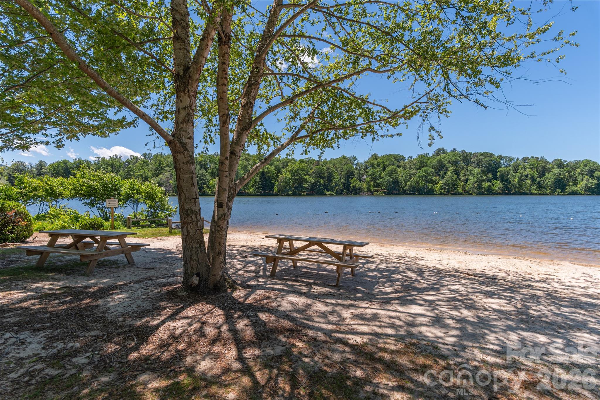 10 Buckhorn Gap Road — Biltmore Lake