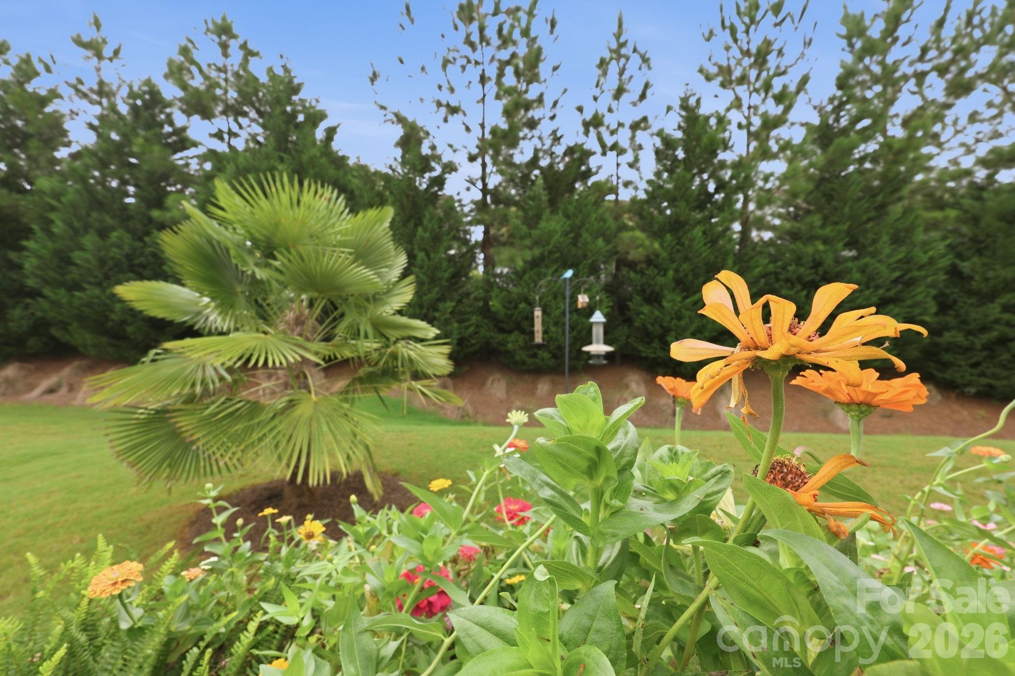 7106 Overjoyed Crossing — Charlotte