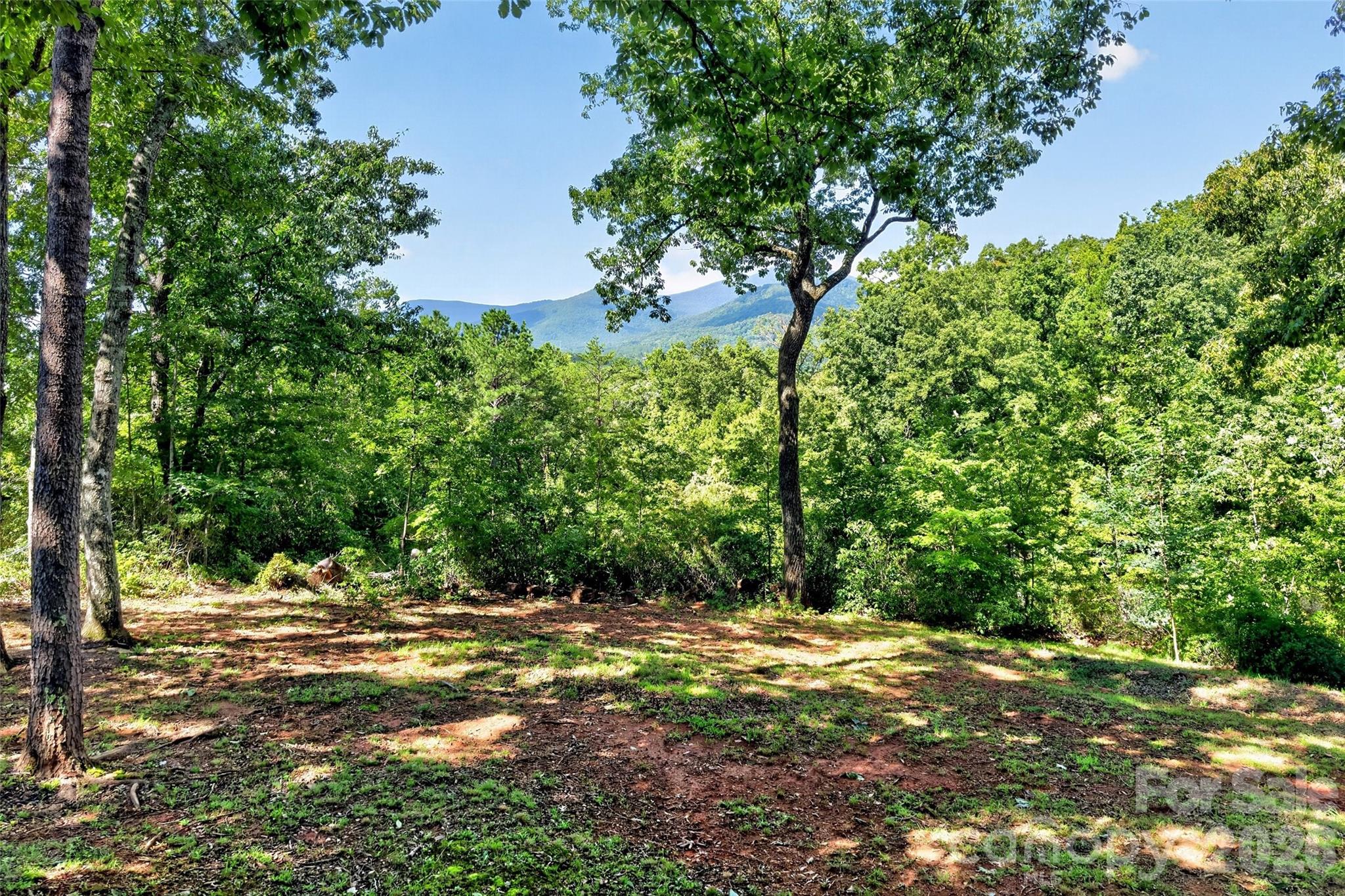128 Pearson Circle — Lake Lure