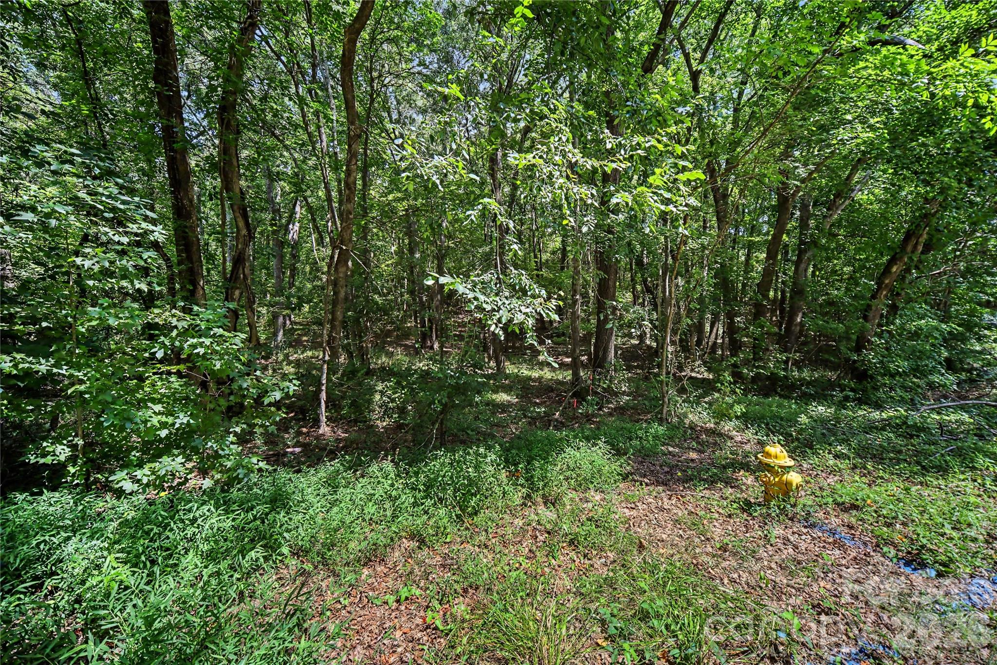 2402 Simfield Church Road — Matthews