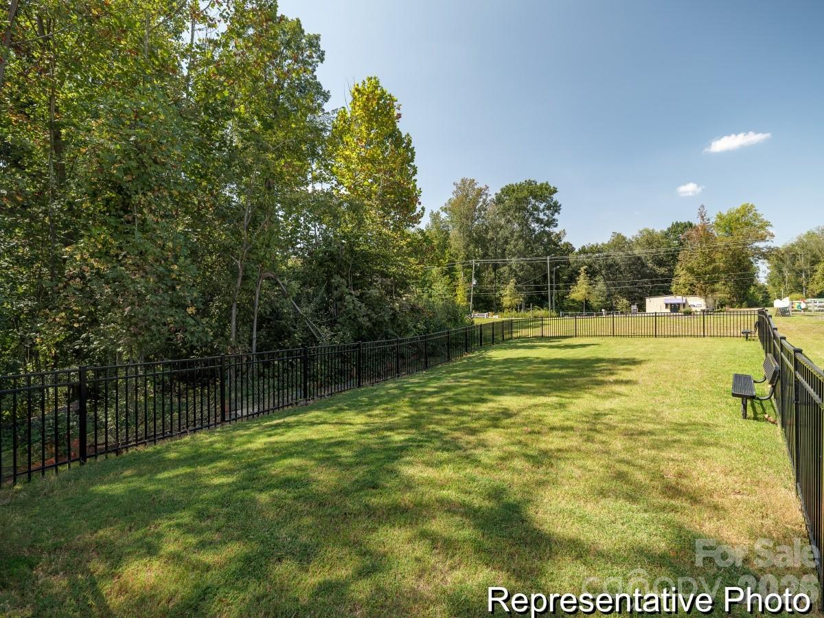 11905 Avocet Street #38 — Charlotte