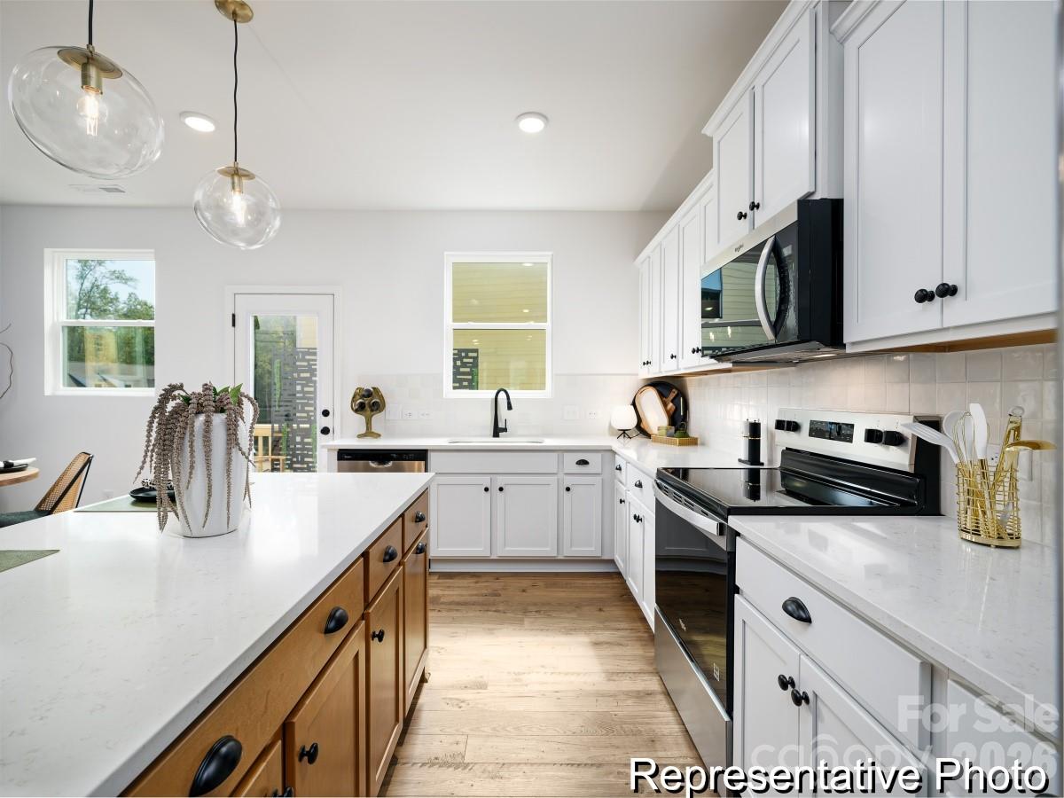 11917 Avocet Street #41 — Charlotte