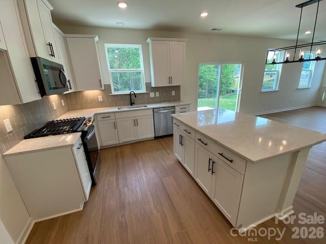 12549 Forager Place — Midland