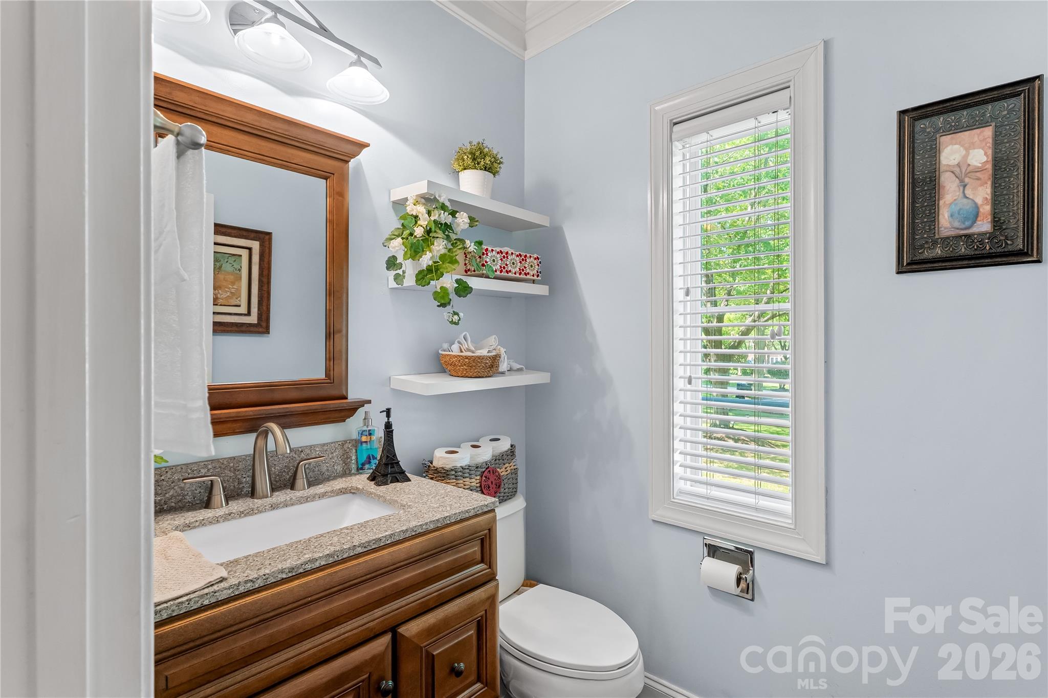 21717 Shoveller Court — Cornelius