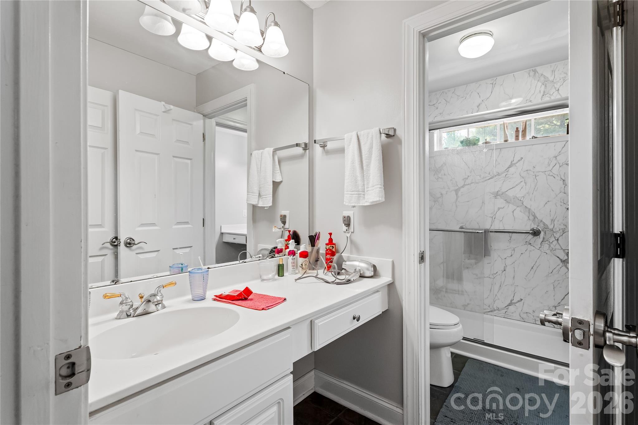 21717 Shoveller Court — Cornelius