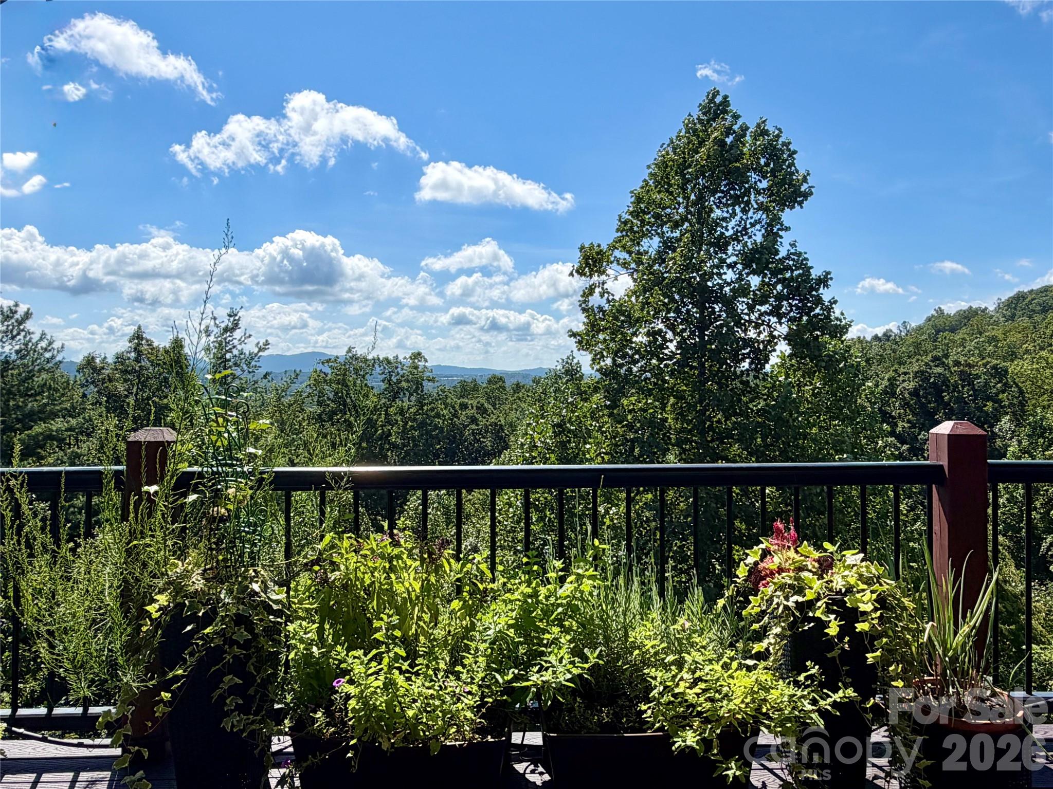 16 Britton Knoll Pass — Arden