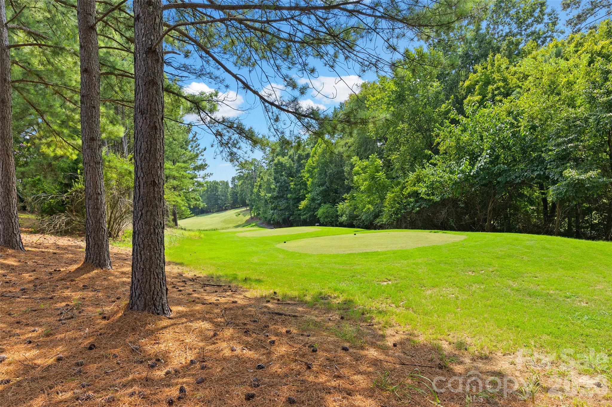 771 Cherry Hills Place — Rock Hill