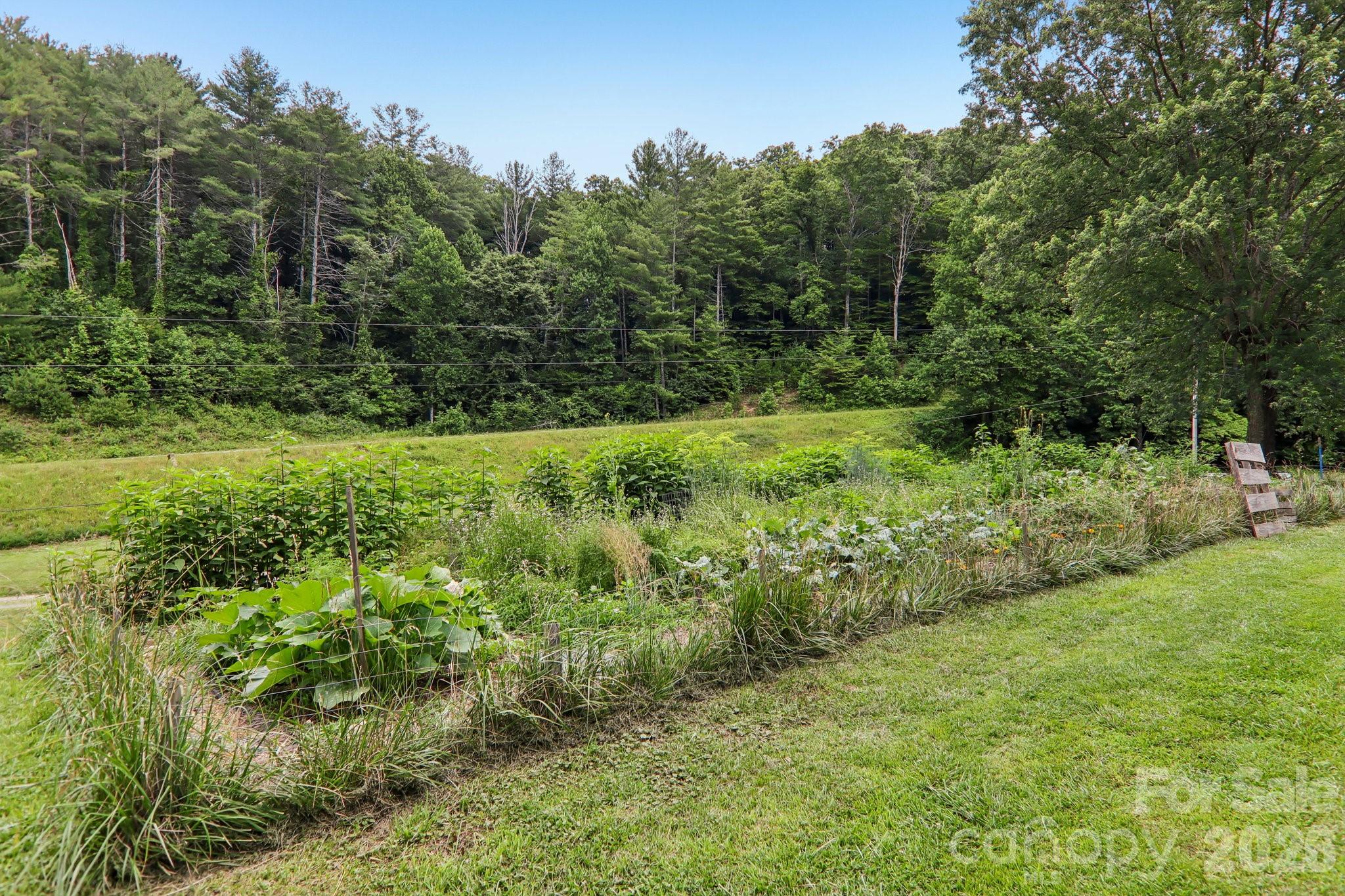 164 Pegg Road — Marshall