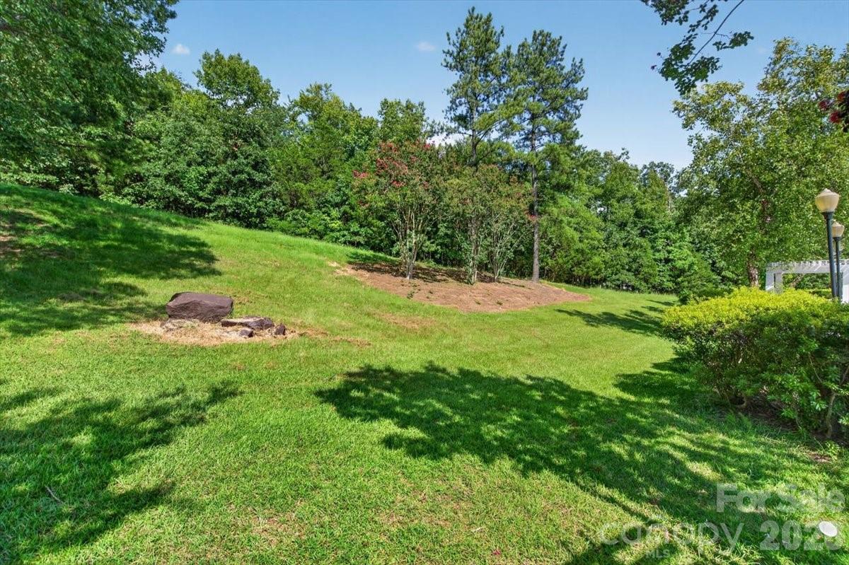 11232 Hyde Pointe Court — Charlotte