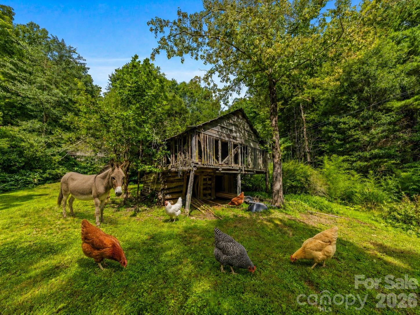 81 Summer Trees Lane — Burnsville