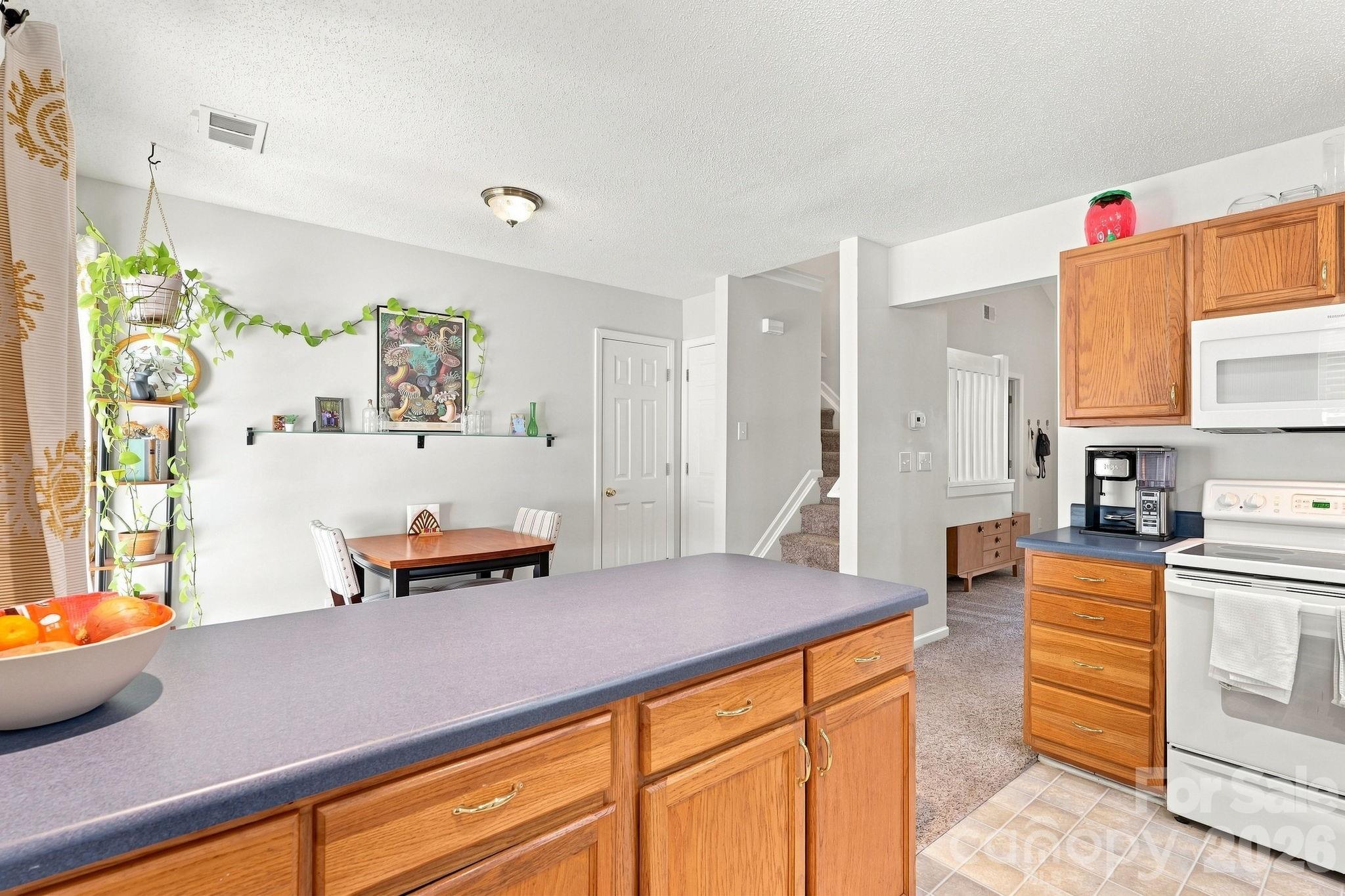 10171 Reindeer Way Lane — Charlotte