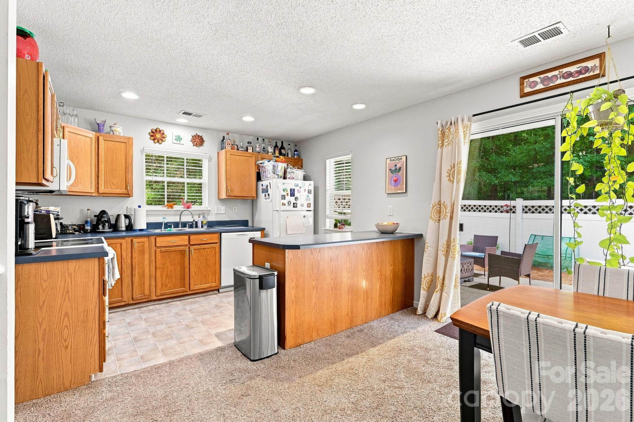 10171 Reindeer Way Lane — Charlotte