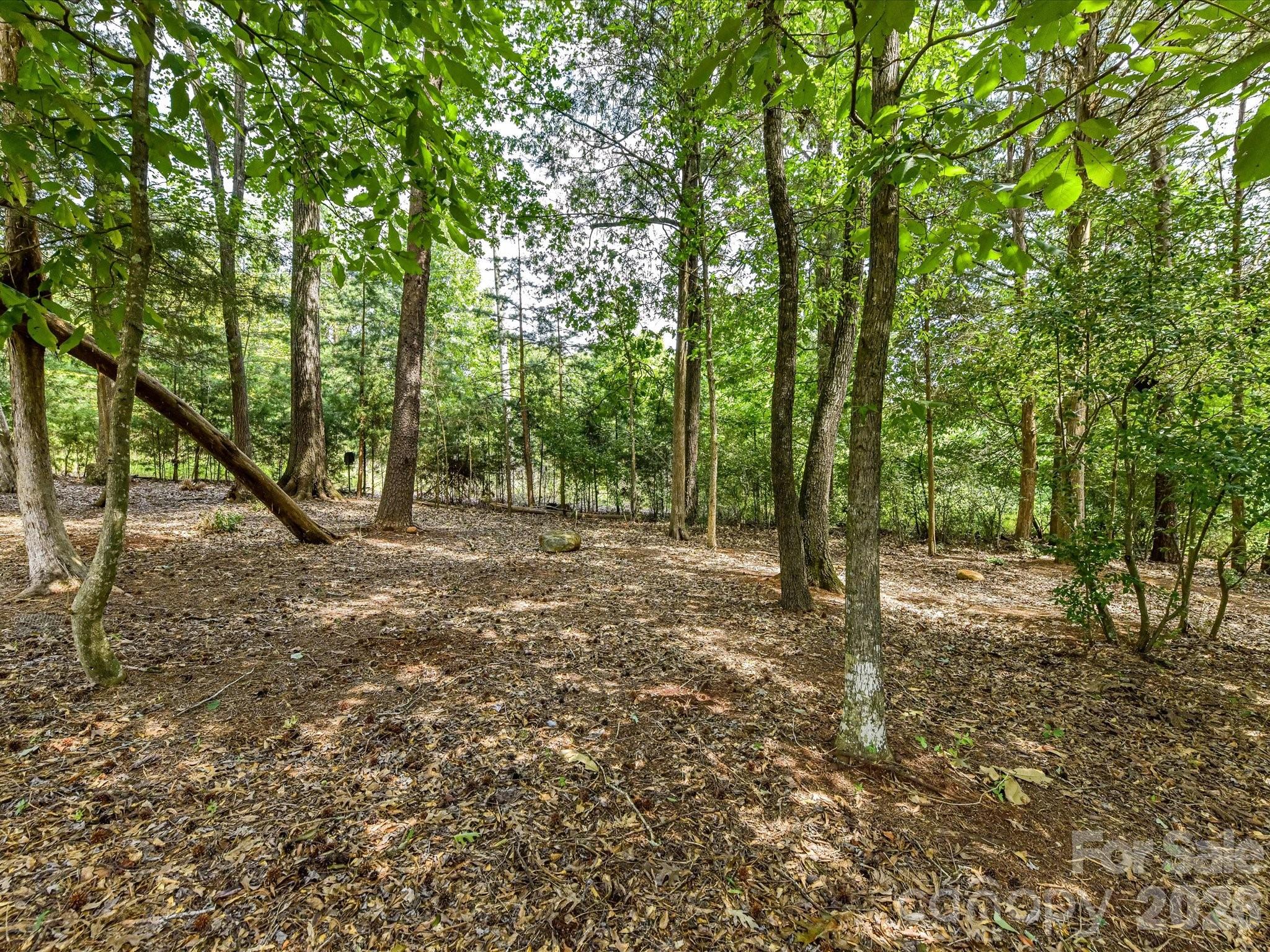 12323 Cherrybark Lane — Charlotte