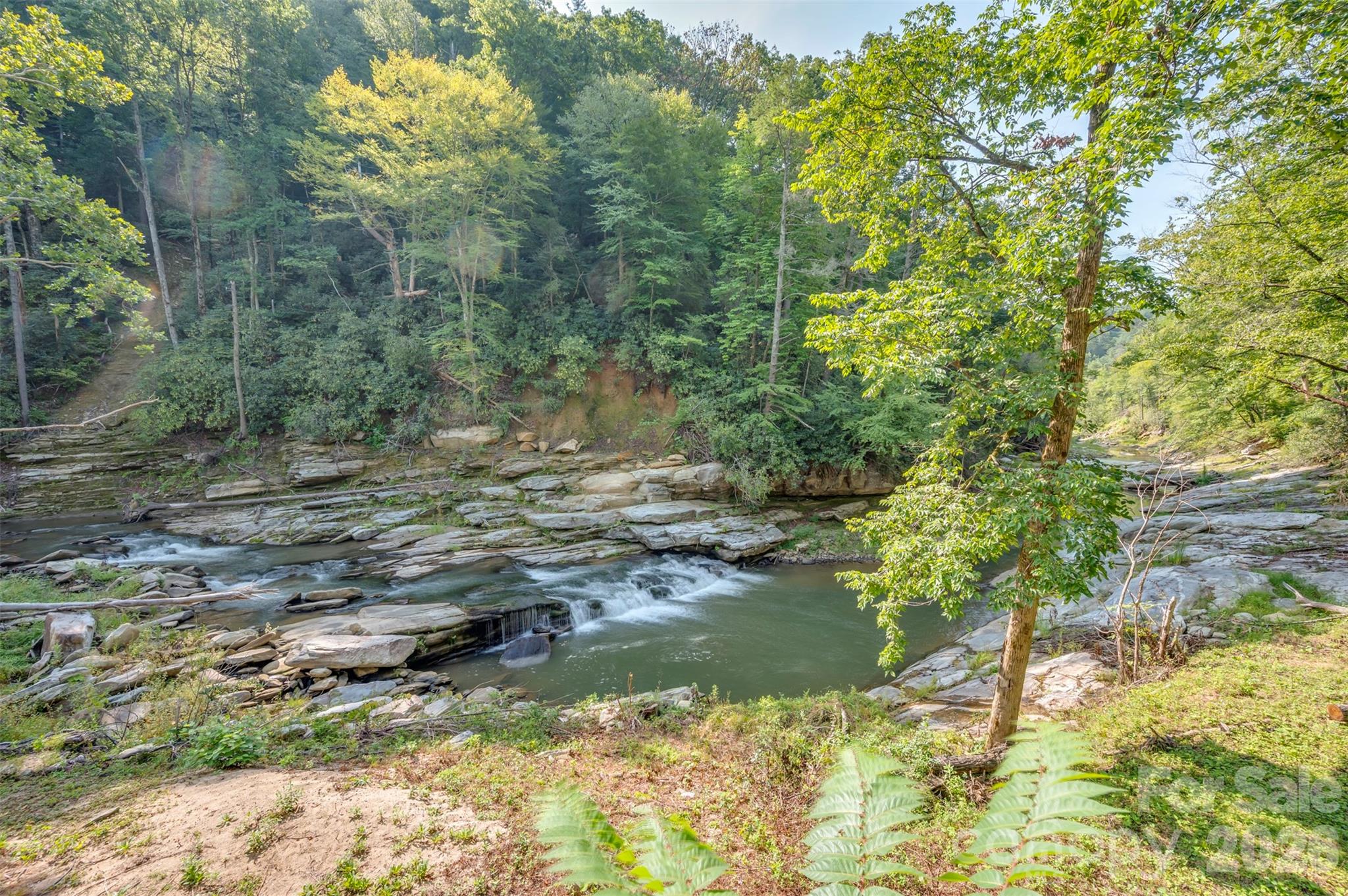 1008 Hardison Falls Trail — Hendersonville