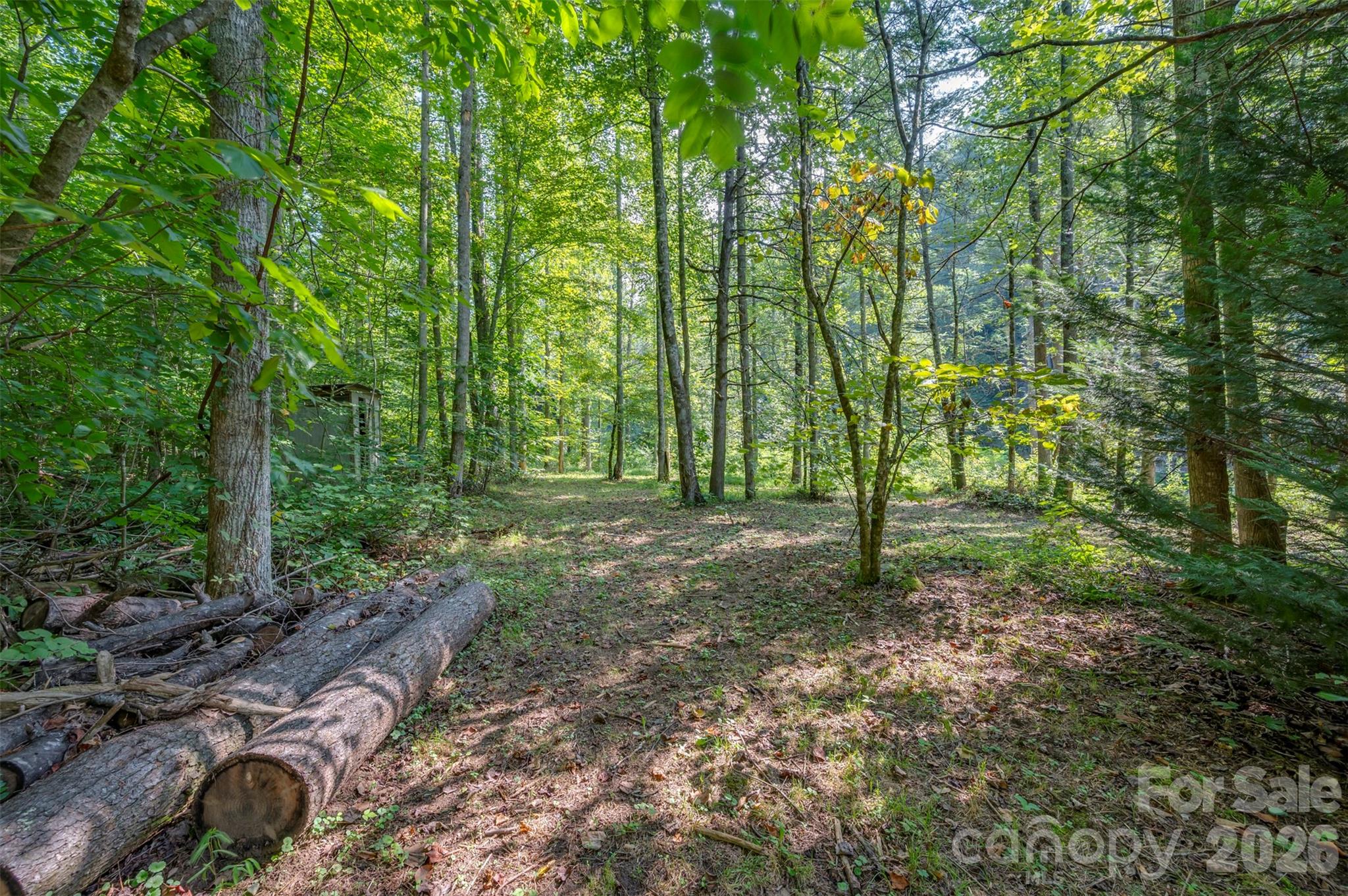 1008 Hardison Falls Trail — Hendersonville