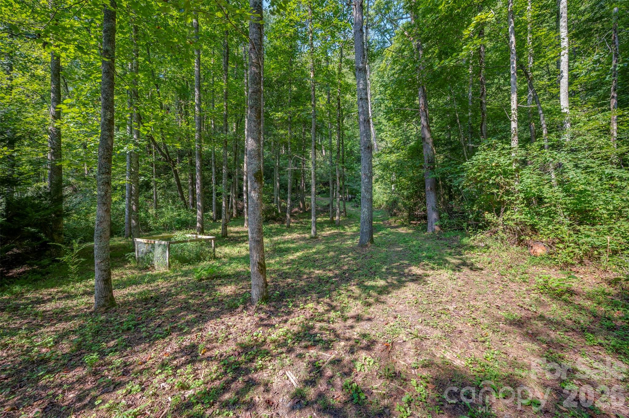 1008 Hardison Falls Trail — Hendersonville