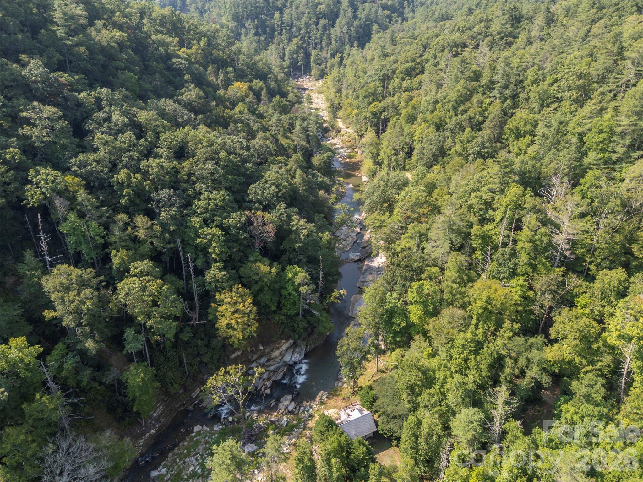 1008 Hardison Falls Trail — Hendersonville