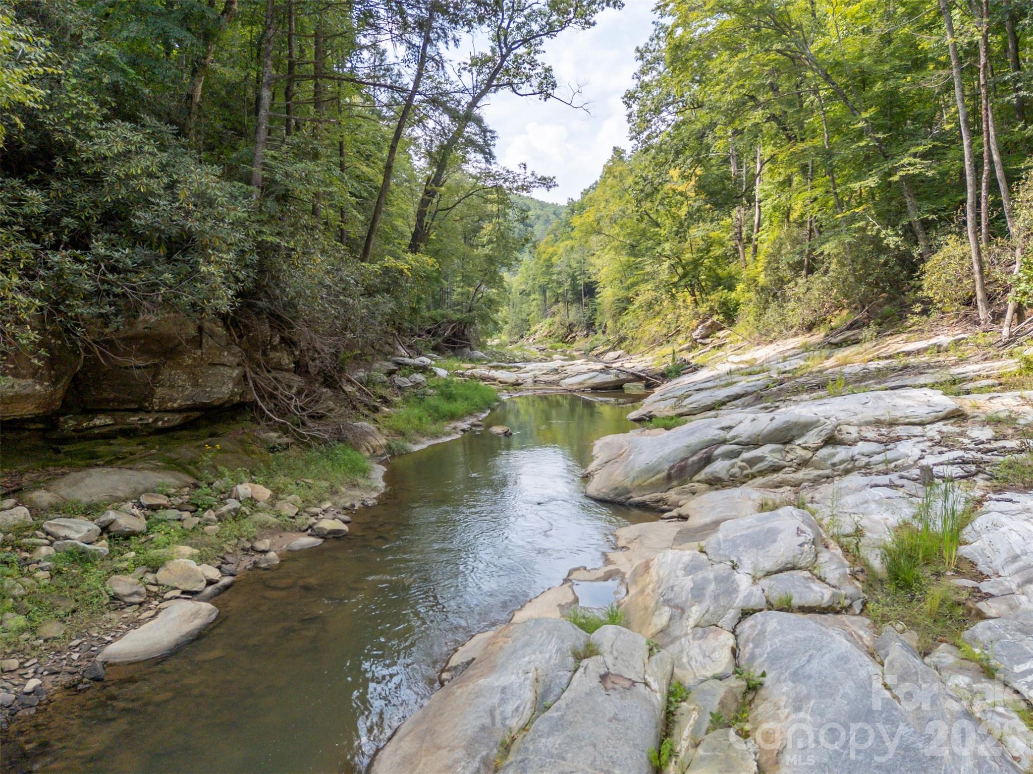 1008 Hardison Falls Trail — Hendersonville