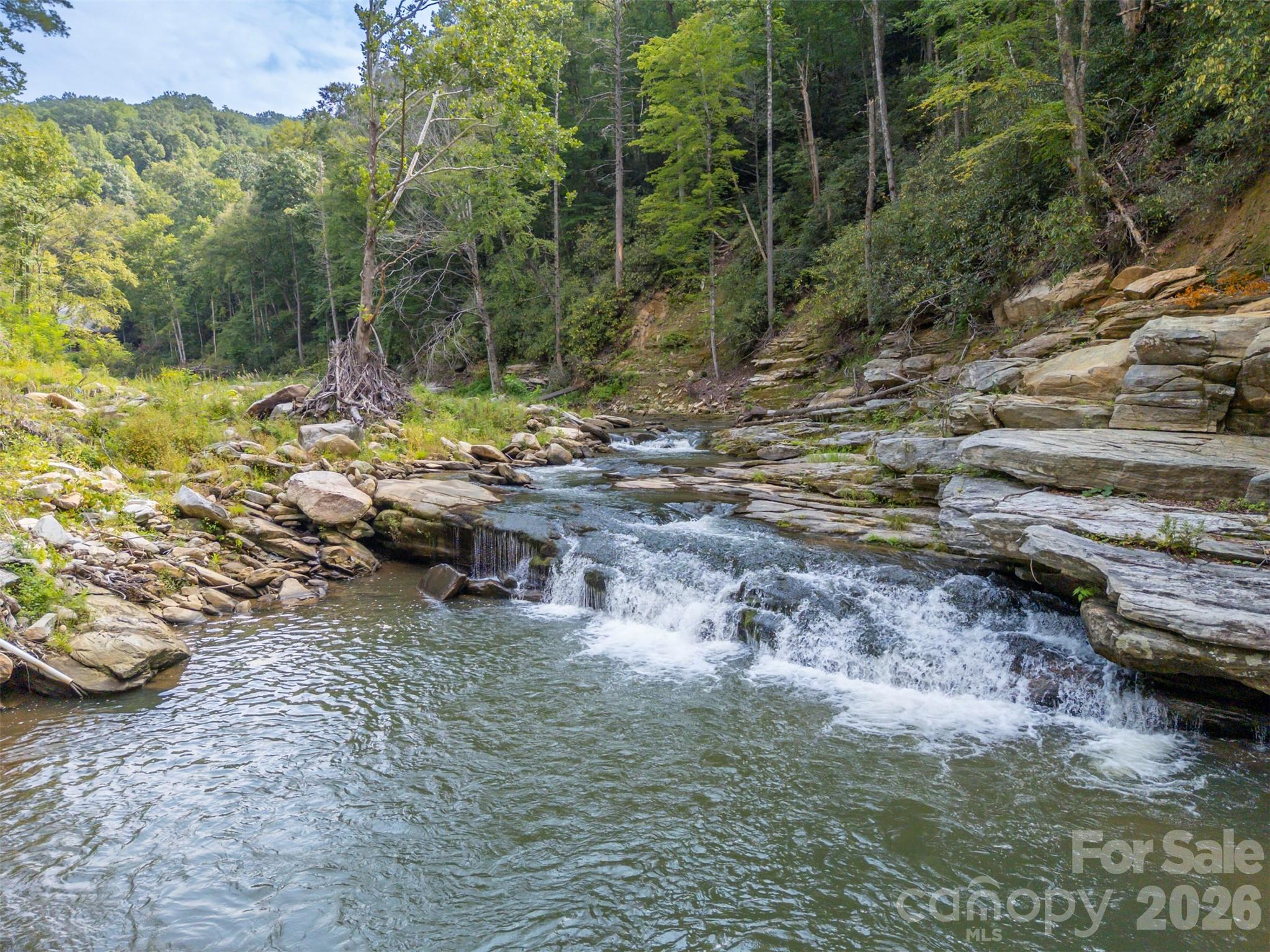 1008 Hardison Falls Trail — Hendersonville