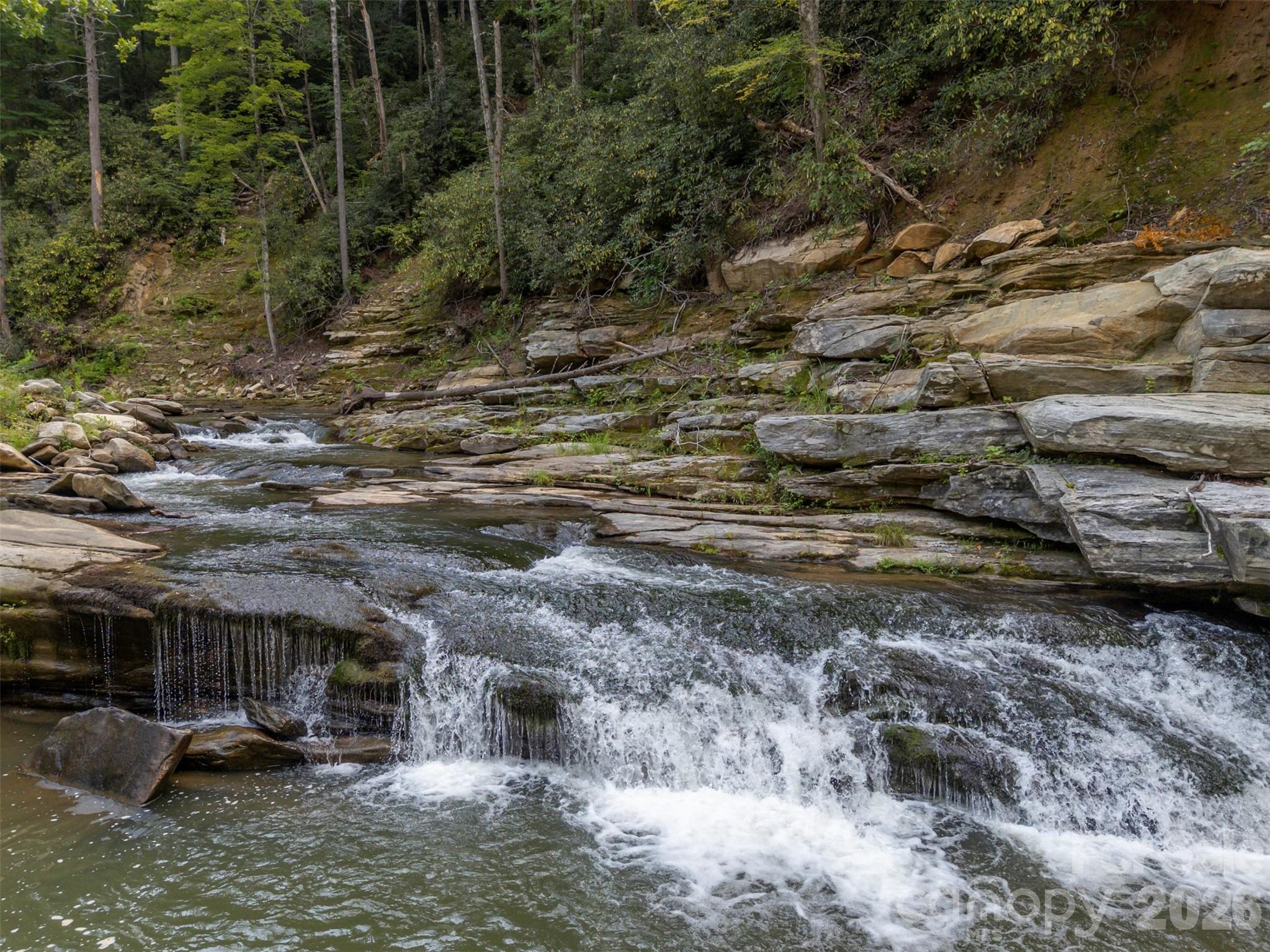 1008 Hardison Falls Trail — Hendersonville
