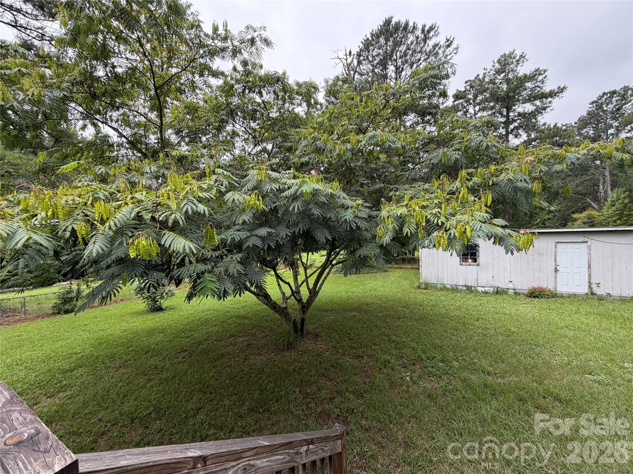 2331 Black Creek Church Road — Pageland