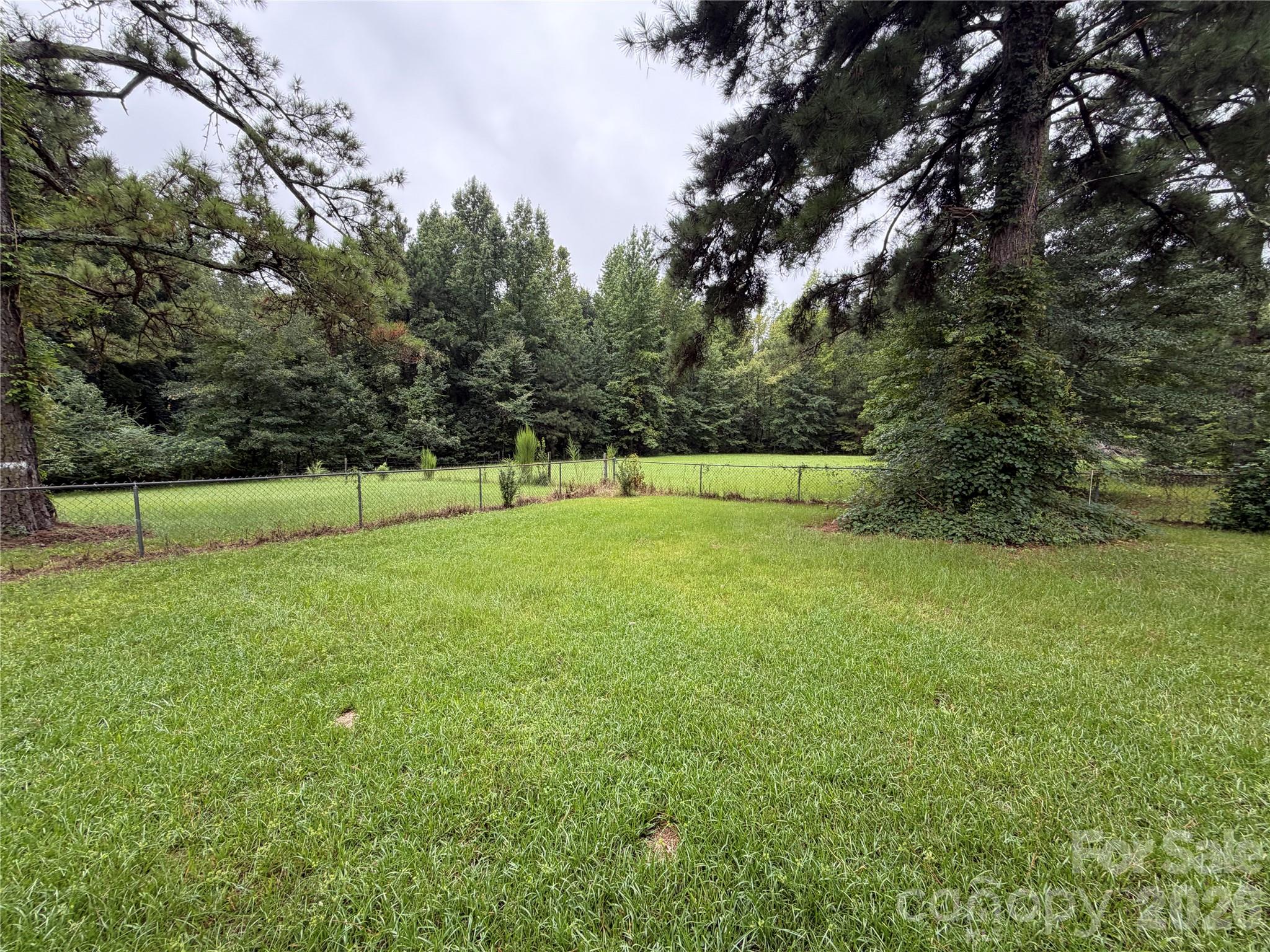 2331 Black Creek Church Road — Pageland