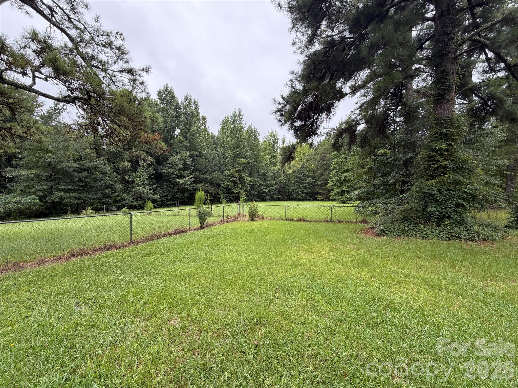 2331 Black Creek Church Road — Pageland