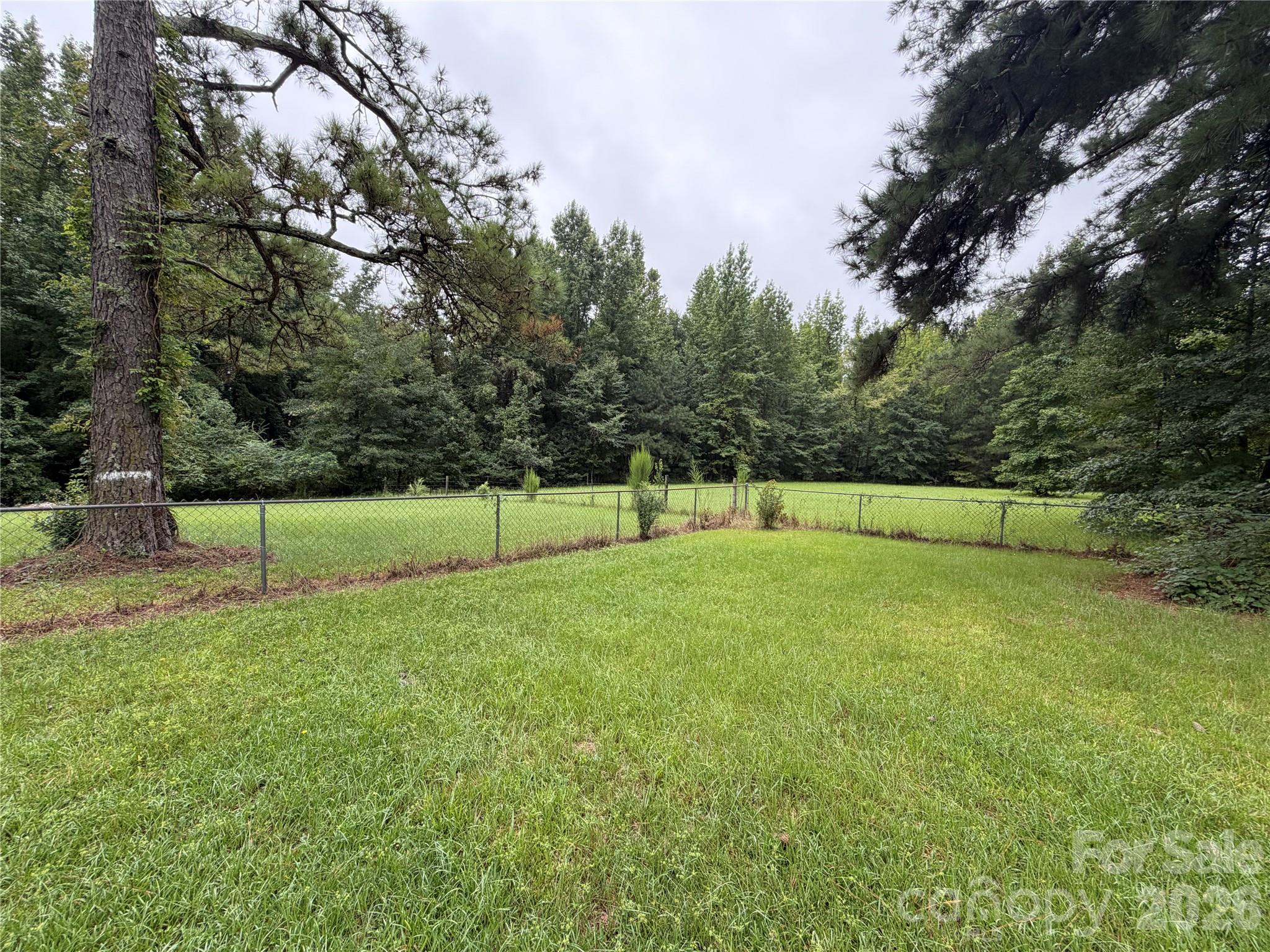 2331 Black Creek Church Road — Pageland