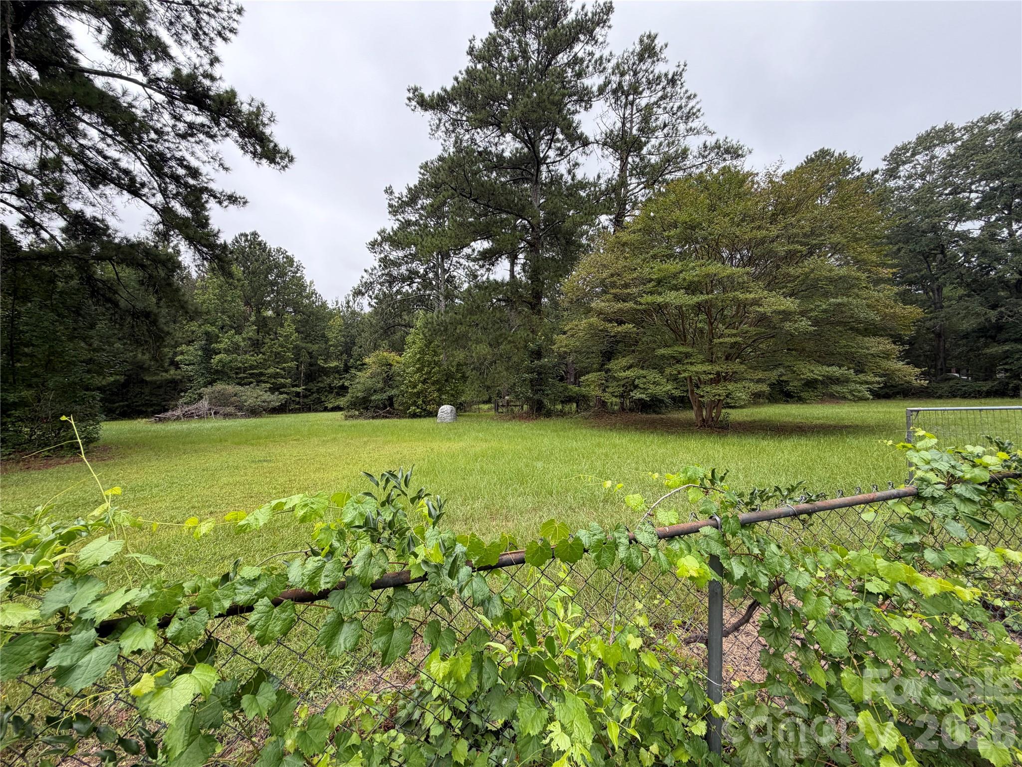 2331 Black Creek Church Road — Pageland