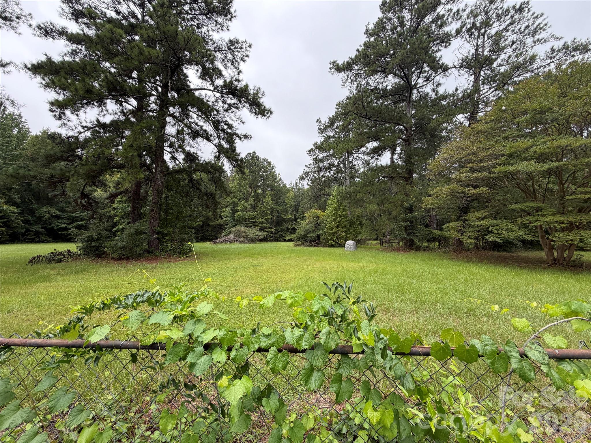 2331 Black Creek Church Road — Pageland