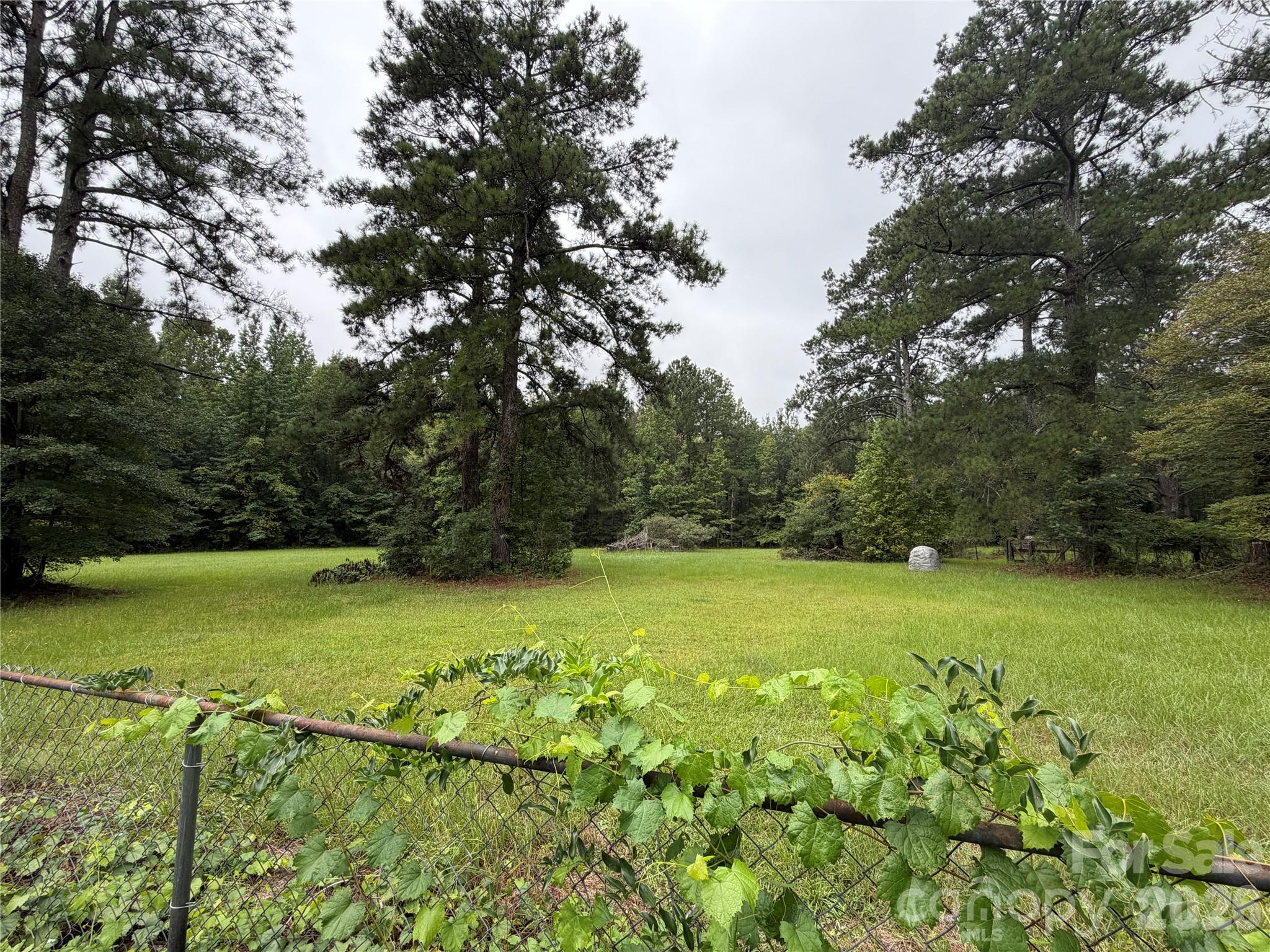 2331 Black Creek Church Road — Pageland