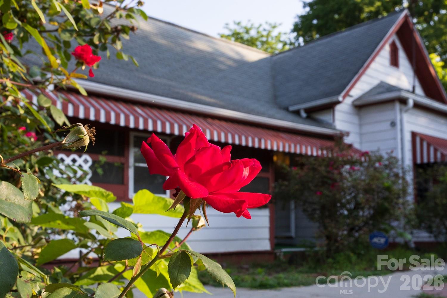91 Clingman Avenue — Asheville