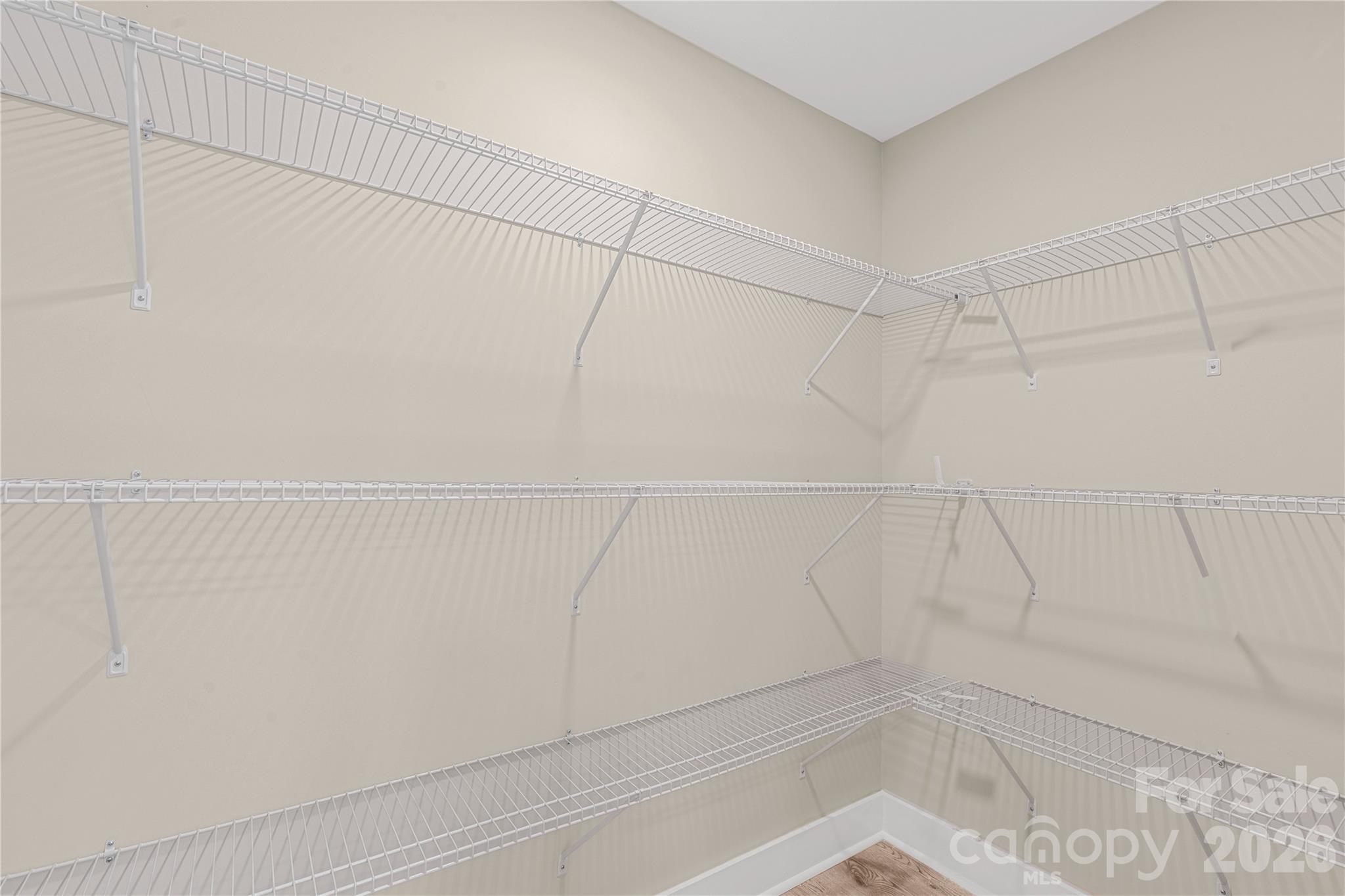 2021 Dogwood Trail — Shelby