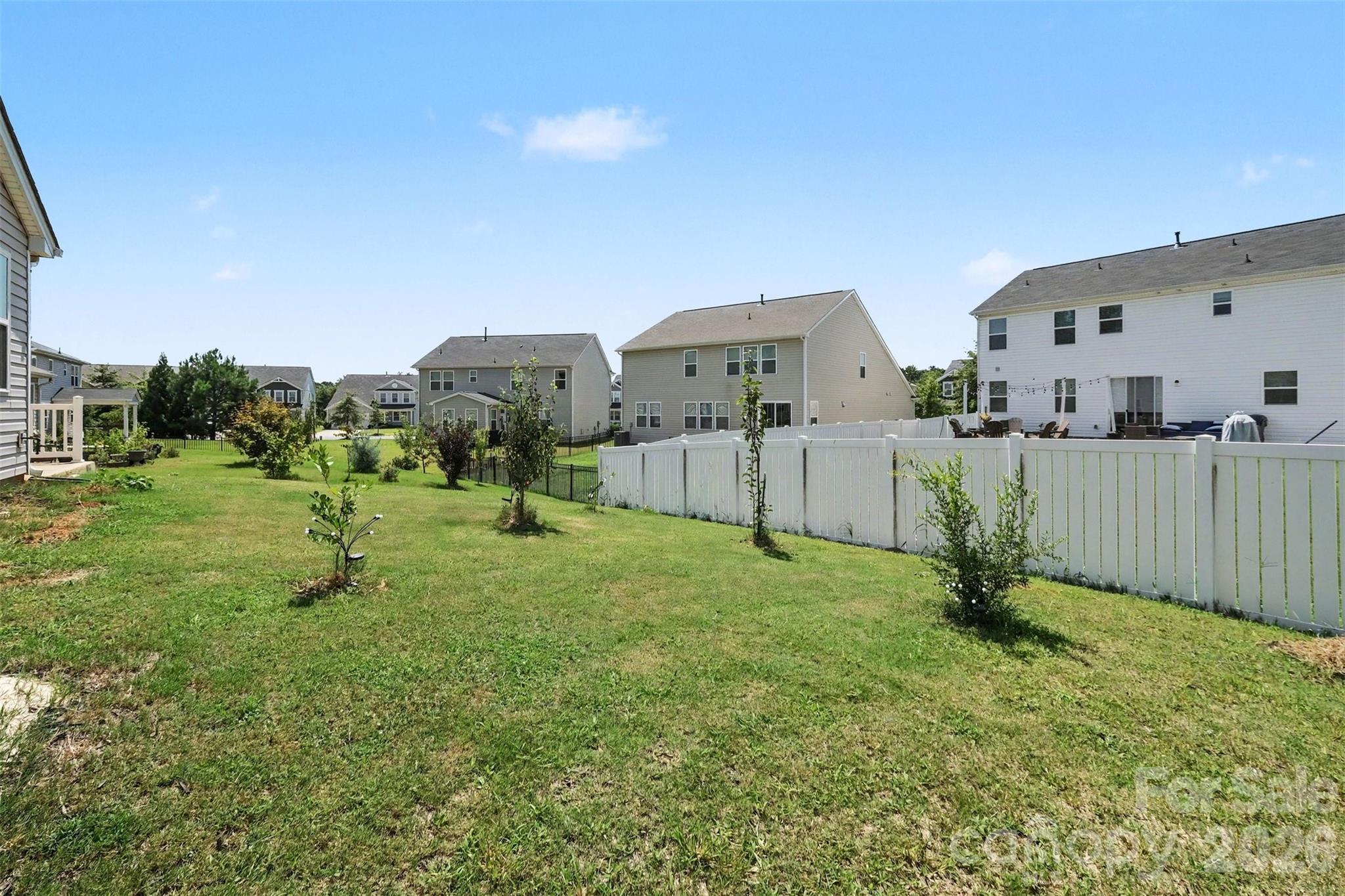 6536 Georgia Oak Road — Charlotte
