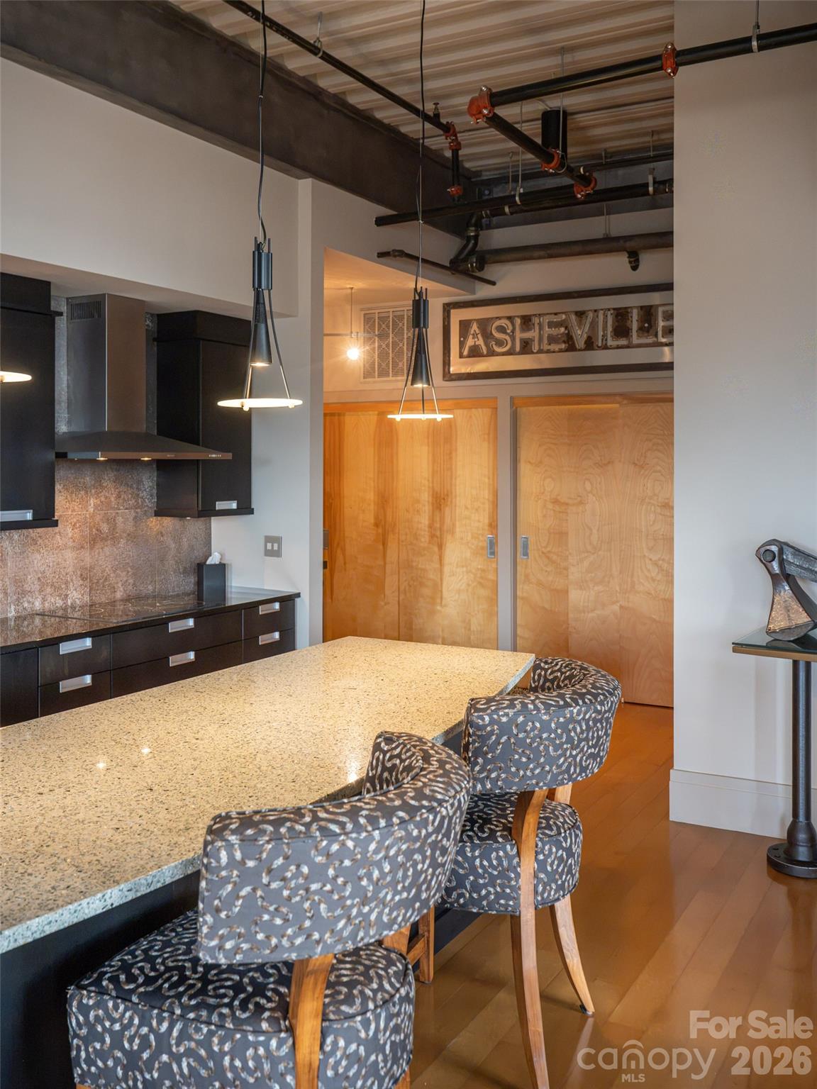 12 S Lexington Avenue #407 — Asheville