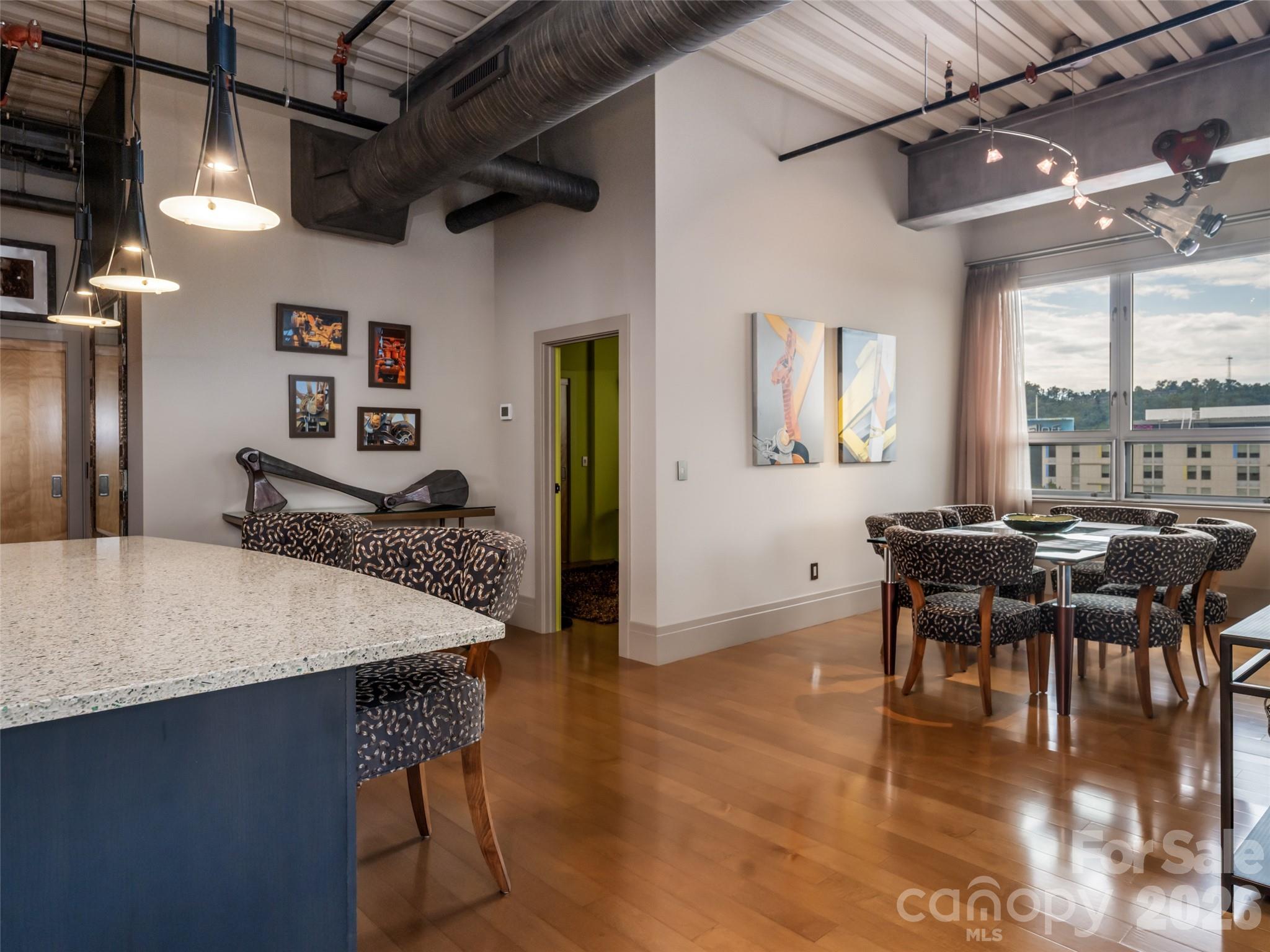 12 S Lexington Avenue #407 — Asheville